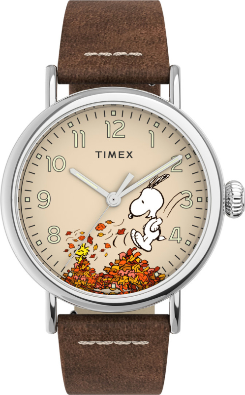 Pánské hodinky - TIMEX TW2U86200UK