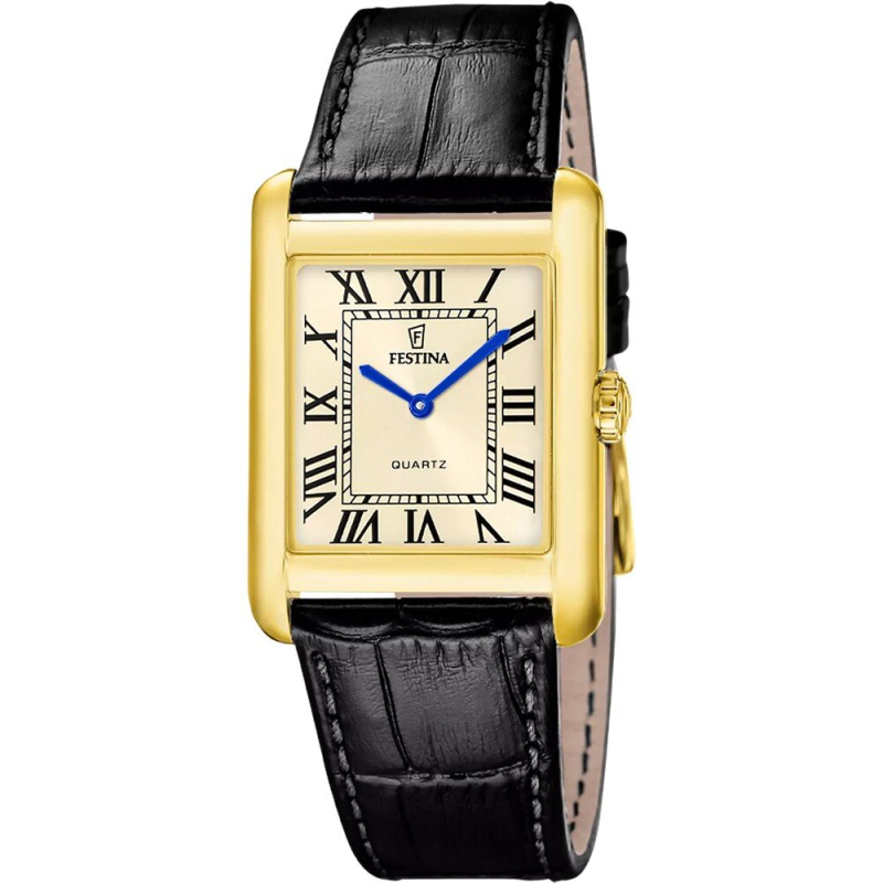 Pánské hodinky - Festina F20772/2