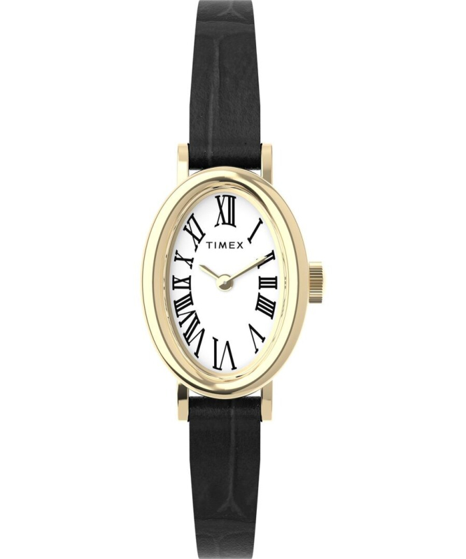 Pánské hodinky - TIMEX TW2W78300UK