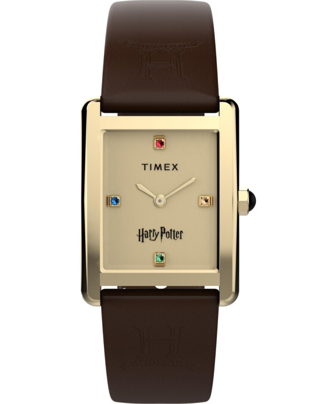 Pánské hodinky - TIMEX TW2Y75700QY