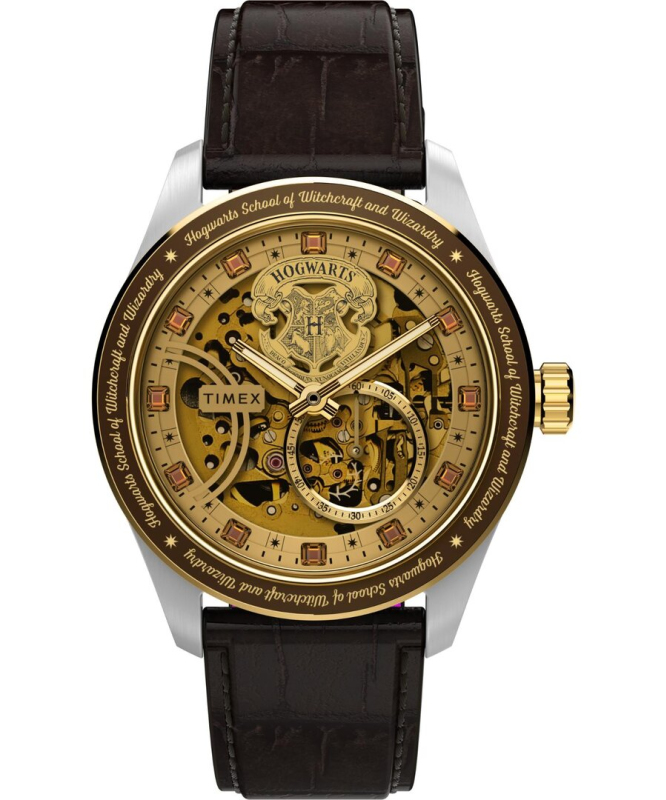 Pánské hodinky - TIMEX TW2Y75500QY