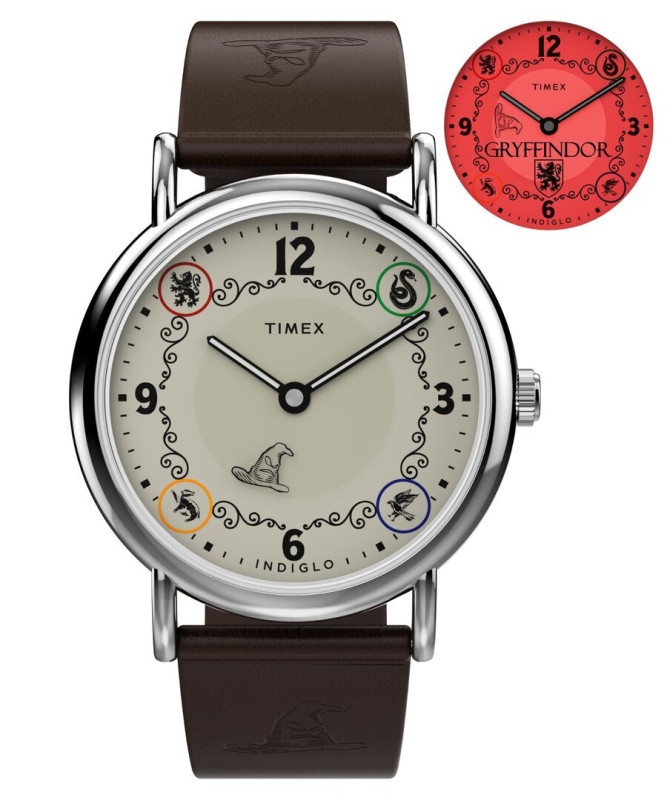 Pánské hodinky - TIMEX TW2Y76300QY