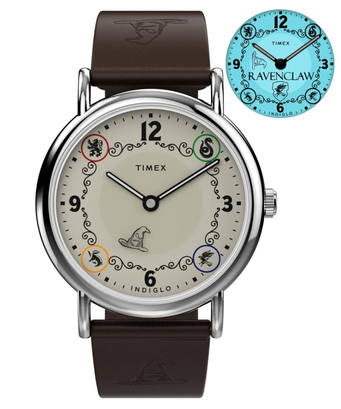 Pánské hodinky - TIMEX TW2Y76500QY