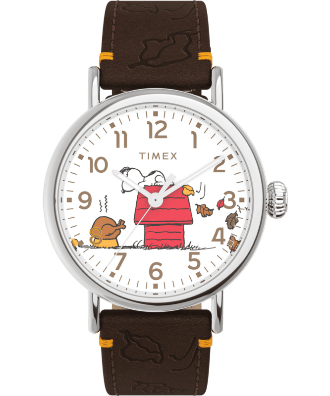 Pánské hodinky - TIMEX TW2W44300UK