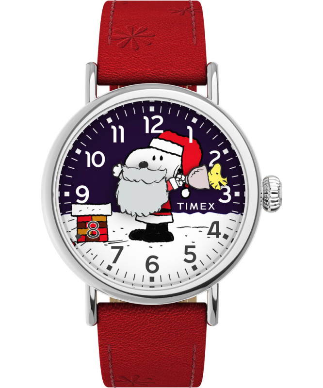 Pánské hodinky - TIMEX TW2W44400BR