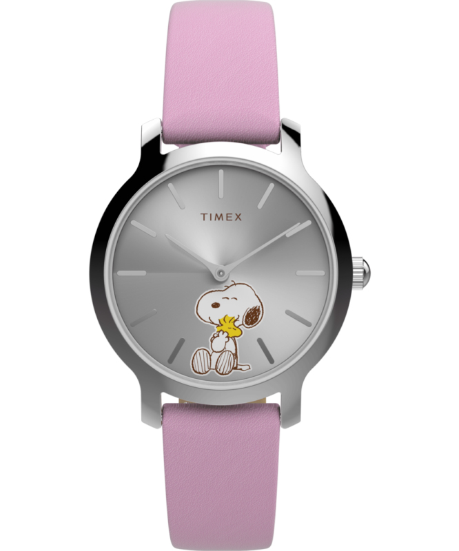 Pánské hodinky - TIMEX TW2Y26000UK