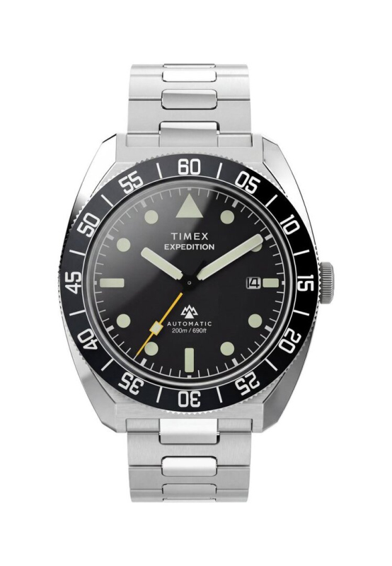 Pánské hodinky - TIMEX TW2Y87400