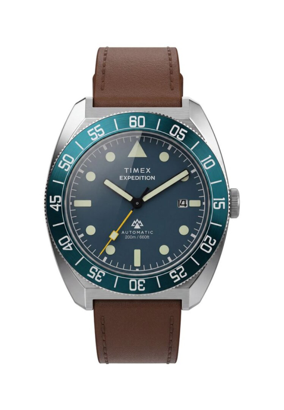 Pánské hodinky - TIMEX TW2Y87500