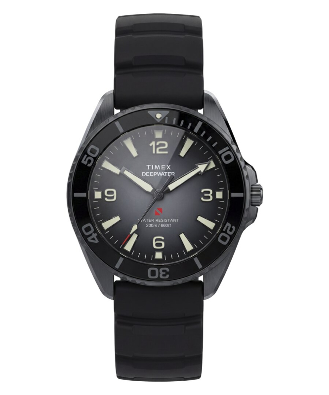 Pánské hodinky - TIMEX TW3A02000UK