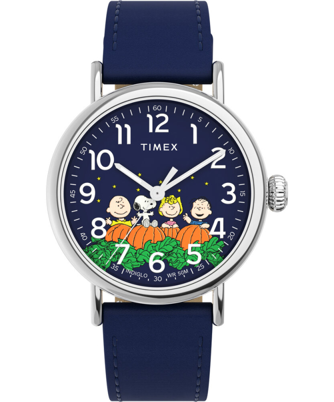 Pánské hodinky - TIMEX TW2W72700UK