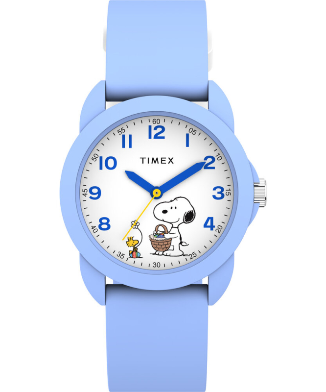 Pánské hodinky - TIMEX TW2Y511006B