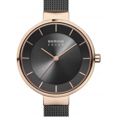 Bering 14631-166