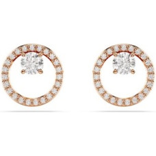 Swarovski 5692263