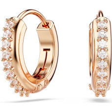 Swarovski 5690669