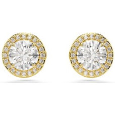 Swarovski 5686637