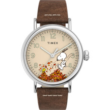 TIMEX TW2U86200UK