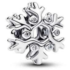 Pandora 794249C01