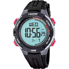 Calypso K5884/4