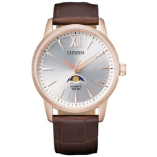 Citizen AK5003-05A