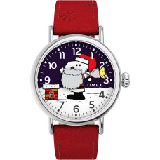 TIMEX TW2W44400BR