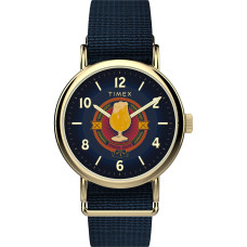 TIMEX TW2Y76100QY